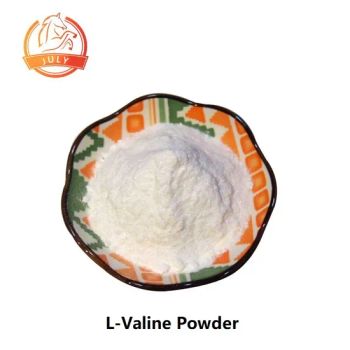 99% L-Valine Powder CAS72184 White Powder 1kg/Bag 15D MOQ100 CAS 72-18-4 Origin China Colour White Sample 10-20g Trademark JULY - Hefei July Biotechnology Co., Ltd. - China