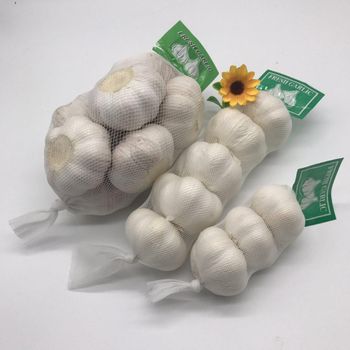 Fresh Garlic / Normal white garlic / Pure white garlic - Super vegetables and fruits CO - China