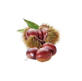 Unique Design Hot Sale No Preservatives Added Ringent Chestnuts Ice Chestnuts With Shells - Qingdao Farm Keeper Supply Chain Management Co., Ltd. - China