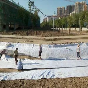 High-Performance Geosynthetic Clay Liner for Construction Material Filtration and Stabilisation - Shandong Tianren New Materials Co., Ltd. - China