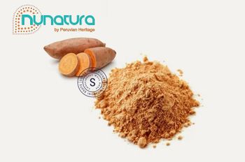 Sweet potato powder Shelf Life 24 months Place of Origin Peru Certification Organic Certified Presentation Sweet Potato Powder - Peruvian Heritage sac DBA Nunatura - Peru