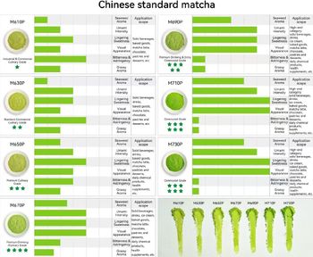 Premium Matcha Powder/US Organic/EU Organic/EU Standard from Vita Health Tech Premium Matcha Powder/US Organic/EU Organic/EU Standard - Vita Health Tech - Hong Kong