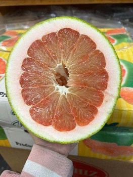 Fresh Pomelo Packaging 12kg Carton - VINA T&T GROUP - Vietnam