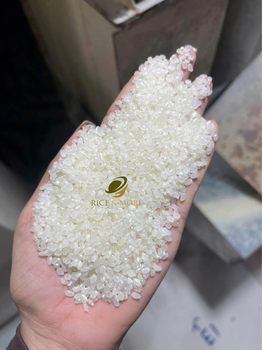 CALROSE RICE 5% BROKEN OEM SERVICE EXPORT QUALITY FOR PARCIFIC ISLAND PACKING 20LBS 40LBS 5KG 25KG 50KG - RICE & MORE CO., LTD Nelsie 8,4,9.01/635/5,97 - Vietnam