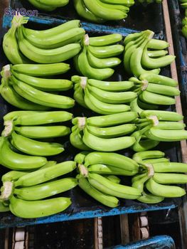 Fresh Green Cavendish Banana – Vietnam Export Quality Supplier - SAIGON VG - Vietnam