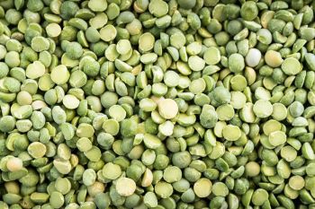 Green Mung Beans / Vigna Mung Beans Premium Quality Conventional Natural Mung Beans Green - Smart Agri GmbH - Germany