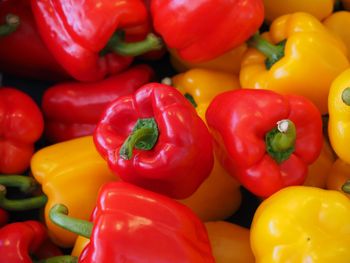 Fresh Bell Pepper Grade Class I Hs Code 0709.60 Scientific Name Capsicum Annuum Shelf Life ~3–5 Weeks At 7.5 °c Colors Red / Yellow / Green / - ANGREEN CORPORATION - Vietnam