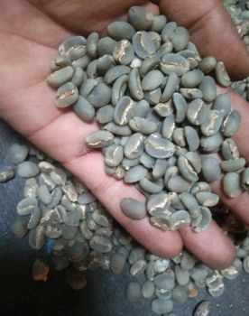 coffee arabica – product photo, Unwashed Arabica Coffee products found from trusted suppliers, wholesalers, manufacturers & exporters Listing