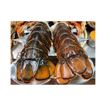 Premium quality frozen lobster tails arranged for bulk buyers with fast delivery from MASI TRADING GMBH Premium quality frozen lobster tails arranged for bulk buyers with fast delivery - MASI TRADING GMBH - Germany