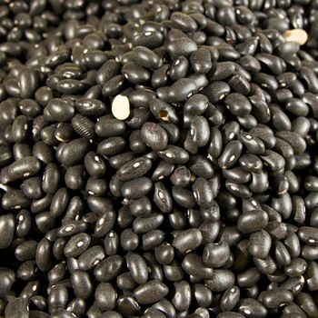 Bulk Supply Of Dried Black Bean Black Bean Offered With Premium Quality And Timely Delivery For Buyers - AGRO AFRIQUE COMPANY LIMITED - Tanzania