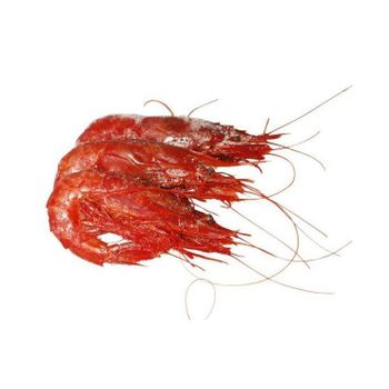 Premium Frozen Red Shrimps perfect for supermarkets and seafood distributors - BMU TRADING GMBH - Germany