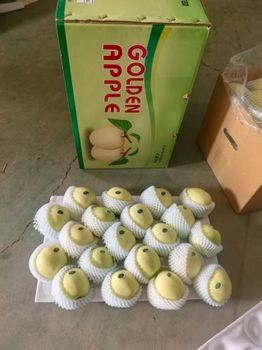 Fresh Golden Delicious Apples for Global Wholesale Markets - Super vegetables and fruits CO - China
