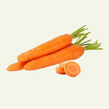 Carrot Texture Crisp Color Vibrant Orange Flavor Naturally Sweet Health Benefits Supports Vision, Immunity, And Overall - Great Farmer Company Limited - Vietnam
