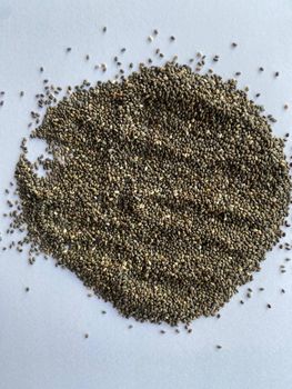 Back chia seed - SHEXPORT INTERNATIONAL LLC - Bolivia, Plurinational State of