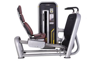 Leg Press Machine Gym Strength Equipment - Shandong Baodelong Fitness Co., Ltd. - China
