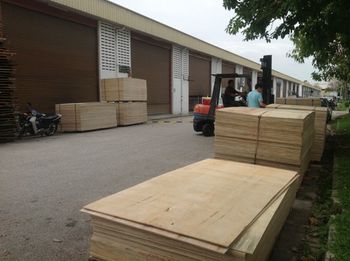 Commercial Plywood (8mm x 1220mm x 2440mm) - KE GO COMPANY LIMITED - Vietnam