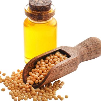 Selected Plant Based Oil Export Line Presenting Refined Soybean Oil For Professional Buyers With Modern Refining from malter group Selected Plant Based Oil Export Line Presenting Refined Soybean Oil For Professional Buyers With Modern Refining - malter group - Tanzania