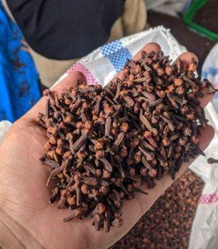 Cloves Features Organic Origin Indonesia Form Whole Stalks Packaging Size > 1000 g - PT DINATA INTERNASIONAL TRADING - Indonesia
