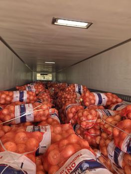 Onion - CHMC Produce - United States