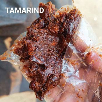 Tamarind without seeds -  DAEWKAEW PANTAMANG Co., Ltd - Thailand