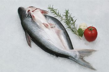 Pangasius Butterfly - AGOFISH - Vietnam