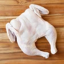 Perfect Premium Grade Frozen Whole Chicken Loading Port Any Payment Term T/t Cut Breast, Fillet Product Type Poultry Package 10kg/ctn, Bulk - N.G westen holding B.V - Netherlands