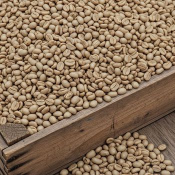 Super Premium Robusta & Arabica Green and Roasted Coffee Beans From USA in 25kg pp Bag from AGRONOVA Super Premium Robusta & Arabica Green and Roasted Coffee Beans From USA in 25kg pp Bag - AGRONOVA - United States
