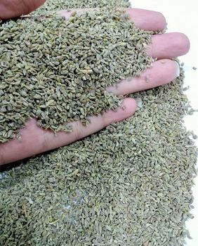 Anise Shelf Life 24 MANTH Packaging Packing as per customer - La Sfida Export – Herbs & Spices Supplier - Egypt