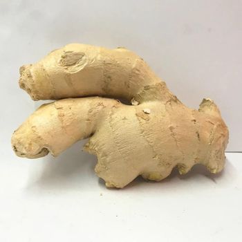Fresh Ginger Premium Quality Fresh Ginger Available In Bulk For Export And Healthy Natural Flavor from malter group Fresh Ginger Premium Quality Fresh Ginger Available In Bulk For Export And Healthy Natural Flavor - malter group - Tanzania
