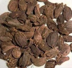 Black Cardamom – product photo, Black Cardamom Seeds products found from trusted suppliers, wholesalers, manufacturers & exporters Listing