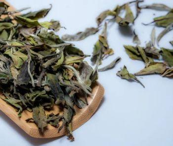 Nutrahealth White Tea Loose Leaf Top Grade Nature 1Y MOQ100 Origin China Age 1-2years Color Nature Type White Tea Grade Top Grade - Changsha Nutrahealth Bio-Tech Co., Ltd. - China