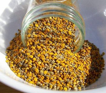 Fresh Bee Pollen Granules For Smoothies Yogurt Cereal And Baking Premium Quality Superfood Wholesale Price Available from CPW TRADE LTD Fresh Bee Pollen Granules For Smoothies Yogurt Cereal And Baking Premium Quality Superfood Wholesale Price Available - CPW TRADE LTD - United Kingdom