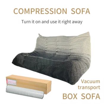 Gh3 Vacuum Transport Internet Celebrity Living Room Furniture Caterpillar Two-Seater Sofa - Auracasa Co., Limited - China
