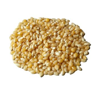Corn (Maize) frozenchickenexports.com – product photo, Maize (Corn) Flour products found from trusted suppliers, wholesalers, manufacturers & exporters Listing