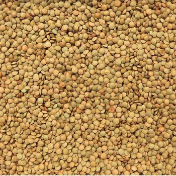 Green Lentil Packaging 50kg Or Whatever You Needed - Mohit Patel - Canada