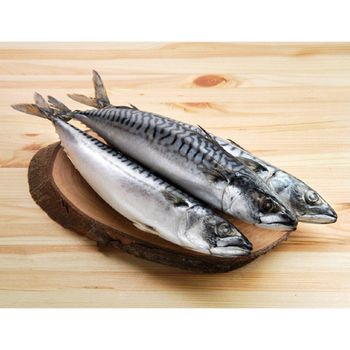 Organic Frozen Horse Mackerel Pacific/Indian/Atlantic Mackerel Fish Body Part Water Preservation Competitive Rates Bulk. from TREVEX INTER CO.,LTD Organic Frozen Horse Mackerel Pacific/Indian/Atlantic Mackerel Fish Body Part Water Preservation Competitive Rates Bulk. - TREVEX INTER CO.,LTD - Thailand