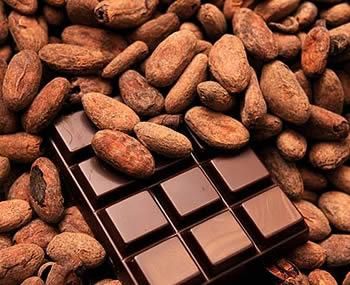 Organic Cocoa Powder