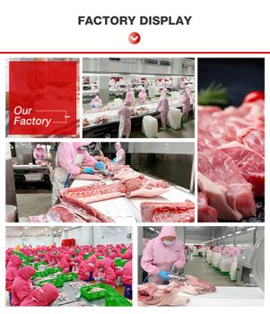 Pork Belly, Pork Shoulder, Pork Neck, Pork Loin, Pork Leg, Pork Tenderloin, Pork Hind, Pork Back Fat Leg / Ham - 中国山东劲鑫食品有限公司 - China