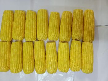Frozen Corn on the Cob - Maruti Agro Products - India