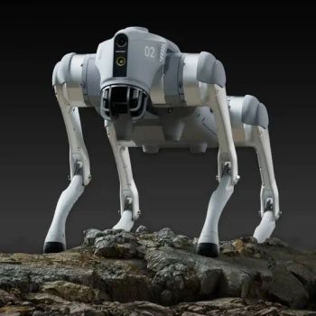 Entertainment Robot Dog G0 2 - Smart Interactive Robotic Pet with Advanced Features for Fun & Play - NATRUAL XIAMEN INDUSTRIAL LTD - China