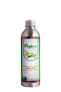 Eucalyptus globulus essential oils - 100% premium steam distilled oil - Aadrea Essential Oils - Uganda