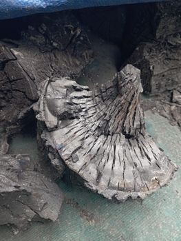 Hardwood Charcoal Form Briquetes Hardwood Charcoal, Chips Hardwood Charcoal, Natural Hardwood - Amerta Jaya Nuswantara - Indonesia