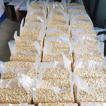Cashew Nuts 4% Max, BROKEN : 1% Max Quality AA Grade A, AA Style Dried Color white Shape Normal Weight (kg) 22 Usage Cooking, - Nedvixs Company Limited - Kenya