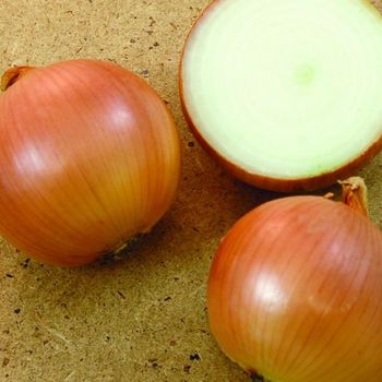 Packaged Fruits & Vegetables – product photo, Packaged Fruits & Vegetables products found from trusted suppliers, wholesalers, manufacturers & exporters Listing