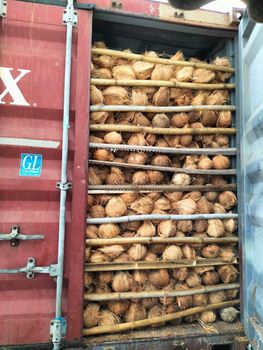 Semi husked coconuts - Euronash Global Exports - India