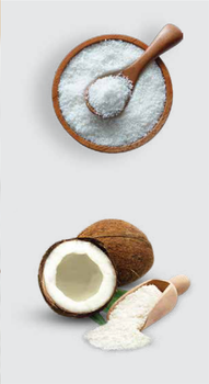 Unsweetened Desiccated Coconut Fine Grade Organic Yes Form Grated Origin Indonesia Degree of Processing Dried - INDO GIDA LTD - Turkey