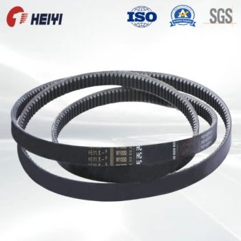 EPDM Rubber Material Ox/Ax/Bx/Cx/6pk/8pk Transmission Rubber V Belts for FAW Truck, Sinotruck JAC, Weichai, Yuchai - Hebei Heiyi Rubber Co., Ltd - China