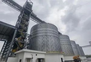 Raisetech New Steel Core Grain Storage Hopper Cone Silo Assembly - Raisetech Co., Ltd. - China