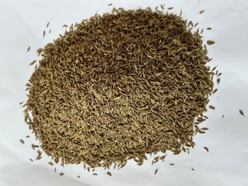 Cumin Seed – product photo, Cumin Seed products found from trusted suppliers, wholesalers, manufacturers & exporters Listing
