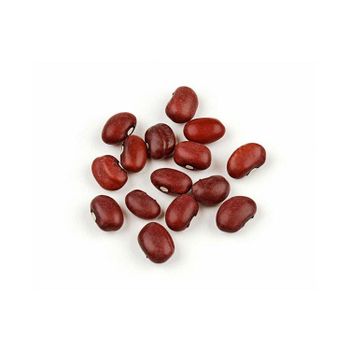 Wholesale Red Kidney Bean low price bulk supply fast shipment from HIGHPROFILE AGRICULTURE SERVICES LIMITED Wholesale Red Kidney Bean low price bulk supply fast shipment - HIGHPROFILE AGRICULTURE SERVICES LIMITED - Tanzania